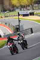 Lower Group Black Bikes